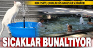 Denizli’de mevsim normallerinin üzerindeki sıcak bunaltıyor