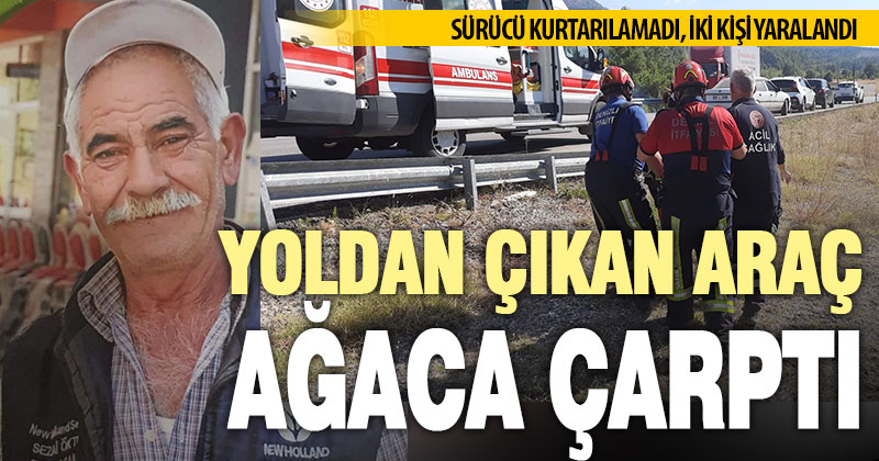 Yoldan çıkan araç ağaca çarptı: 1 kişi kurtarılamadı, 2 kişi yaralandı