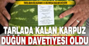 Ürettiği karpuz tarlada kalınca düğün davetiyesi olarak kullandı