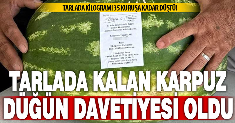 Ürettiği karpuz tarlada kalınca düğün davetiyesi olarak kullandı