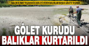 Kuruyan göldeki balıklar balçıktan kurtarılıp, başka gölete nakledildi