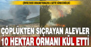 Çivril’de çöplükten çıkan yangın 10 hektar ormanı yaktı