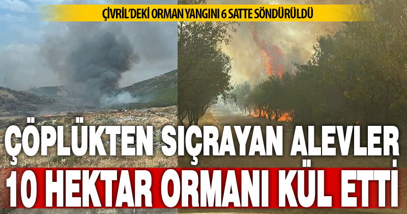Çivril’de çöplükten çıkan yangın 10 hektar ormanı yaktı