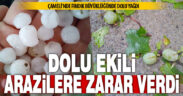 Çameli’nde şiddetli dolu ekili arazilere zarar verdi