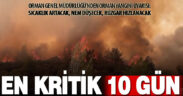 Orman yangınlarına karşı en kritik 10 gün başladı