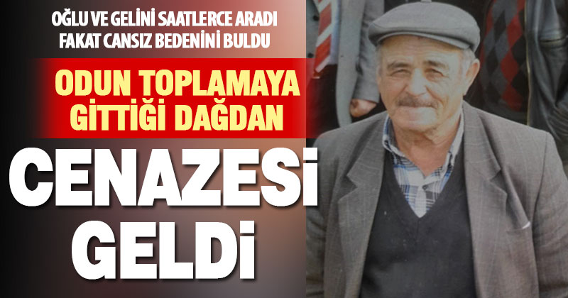 Odun toplamak için dağa giden vatandaş yaşamını yitirdi