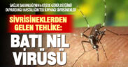 Batı Nil Virüsü, sivrisineklerden bulaşıyor