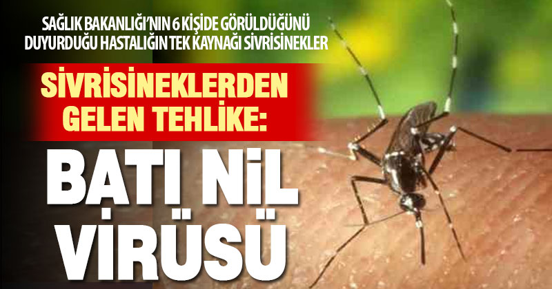 Batı Nil Virüsü, sivrisineklerden bulaşıyor