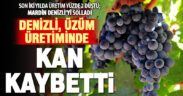 Üzüm üretiminde Mardin Denizli’yi solladı