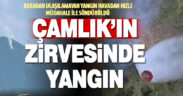 Çamlık dağının zirvesindeki yangın hava müdahalesiyle söndürüldü