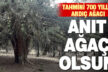 Baklan’daki tahmini 700 yıllık ardıç ağacı için tescil başvurusu yapıldı