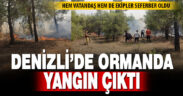 Denizli’de ormanda yangın çıktı