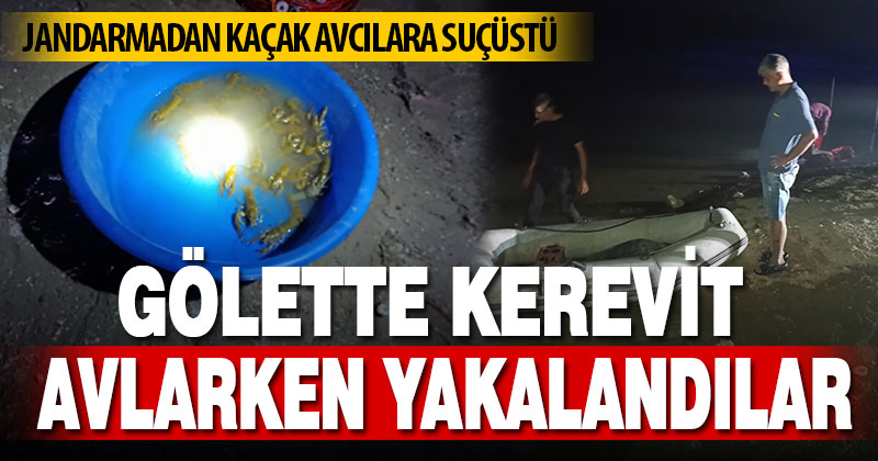 Jandarmadan kaçak avcılara suçüstü