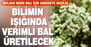 Buldan Kekik Balı için çalışmalar başladı