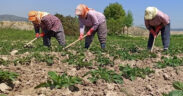 Çiftçi Kayıt Sistemi başvuruları başlıyor