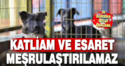 66 barodan ortak açıklama: Katliam ve esaret hukuka aykırı kanunlarla meşrulaştırılamaz