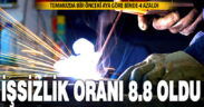 İşsizlik oranı yüzde 8,8 oldu