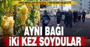 Aynı bağı iki kez soyan emek hırsızları tutuklandı