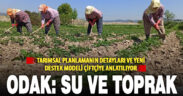 Tarım ve Orman Müdürü Çınar: Yeni destekleme modeli suyu ve toprağı koruyacak