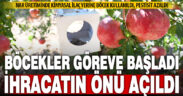 Biyolojik mücadele ile pestisit miktarı azalan Denizli Narında ihracatın önü açıldı