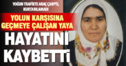 Aracın çarptığı yaya olay yerinde yaşamını yitirdi