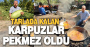Tarlada kalan karpuzlar pekmeze dönüştü