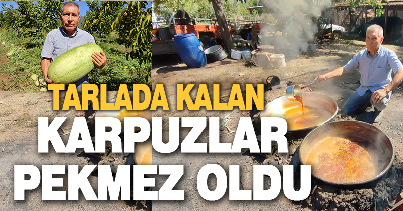 Tarlada kalan karpuzlar pekmeze dönüştü