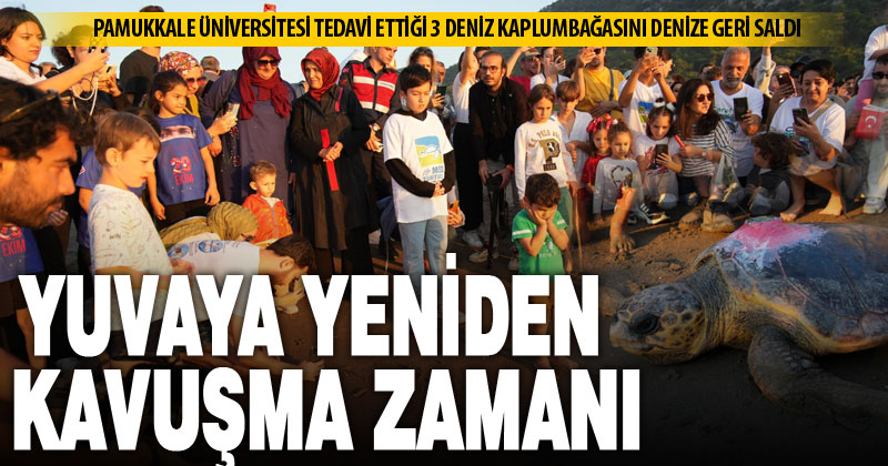 Yaralı 3 deniz kaplumbağası tedavi edildi, denizle buluşurken tören düzenlendi
