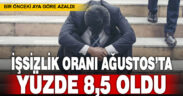 İşsizlik oranı Ağustos ayında yüzde 8,5 oldu