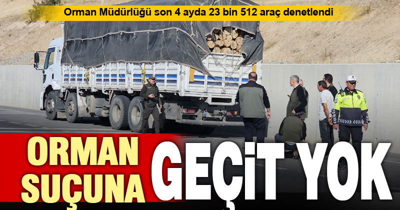 Denizli’de orman suçlarına karşı denetimler sıkılaştırıldı