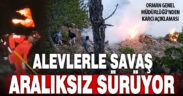Karcı’daki yangınla ilgili OGM’den açıklama: Müdahalemiz sürüyor