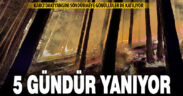 Karcı Dağı 5 gündür yanıyor