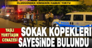 Sokak köpekleri kokuya tepki verince yaşlı adamın cenazesini bulundu