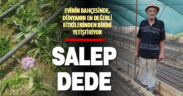 Yeni sezonun ilk salepleri toprakla buluştu