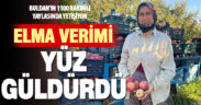 Elma verimi üreticinin yüzünü güldürdü