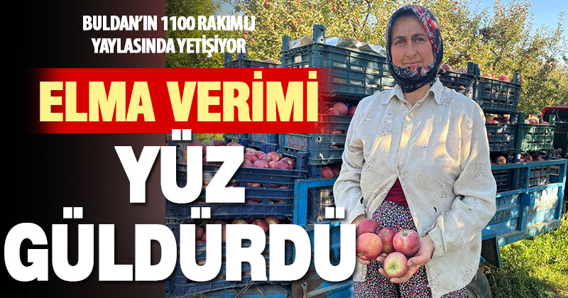 Elma verimi üreticinin yüzünü güldürdü