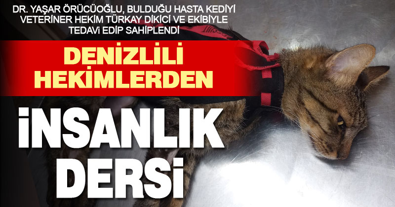 Denizlili iki hekim, sokakta bulunan hasta kediyi tedavi edip sahiplendi