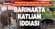 Büyükşehir’den barınakta katliam iddialarına itiraf gibi açıklama