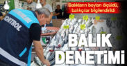 Denizli Tarım ve Orman İl Müdürlüğü’nden balık denetimi