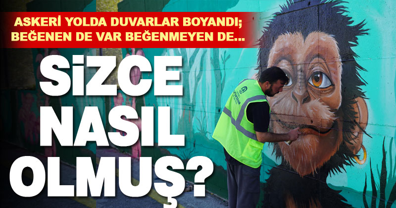 Askeri yoldaki istinat duvarları boyandı: Beğenen de var beğenmeyen de!