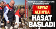 Türkiye’nin en çok pamuğunu üreten 8’nci kenti Denizli’de hasat başladı