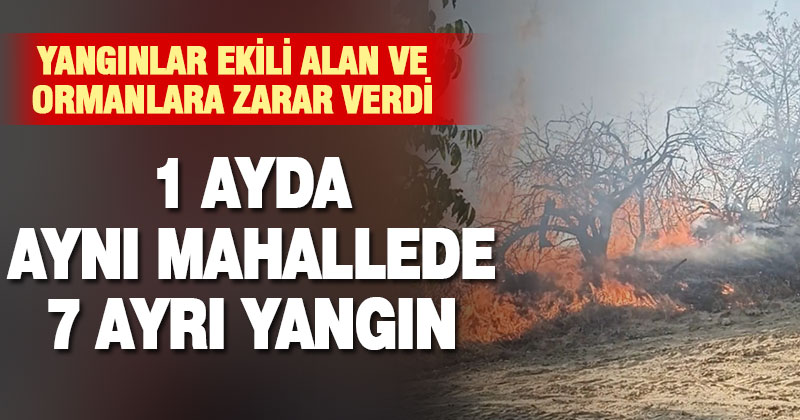 1 ayda aynı mahallede 7 ayrı yangın