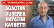 Ağaçtan düşen yaşlı adam hayatını kaybetti
