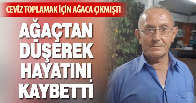 Ağaçtan düşen yaşlı adam hayatını kaybetti