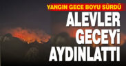 Denizli’de 2. gününe giren yangından yükselen alevler geceyi aydınlattı