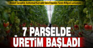 Sarayköy Organize Tarım Bölgesi’nde 7 sera parselinde üretim başladı