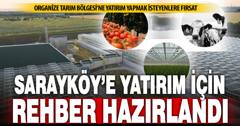 Sarayköy Organize Tarım Bölgesi’ne yatırım rehberi