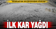 Denizli’ye mevsimin ilk karı yağdı