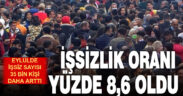 İşsizlik oranı Eylül’de yüzde 8,6 oldu