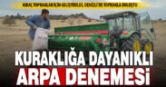 Kıraç topraklar için geliştirilen 4 yeni arpa tohumu Denizli’de deneniyor